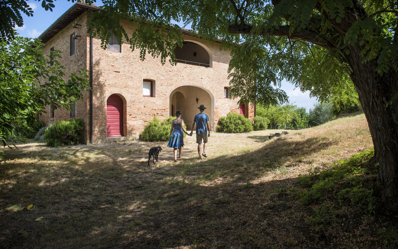 Fattoria Barbialla Nuova