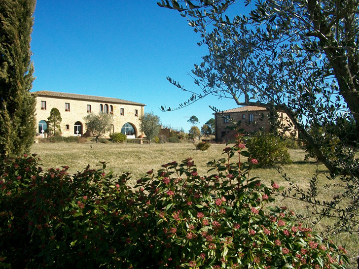 La collina di Pienza