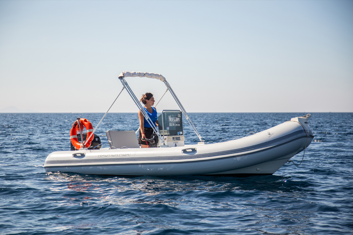 Nautica Piga Rent