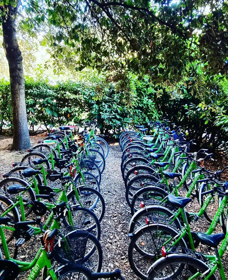 Todisco Bike Centro