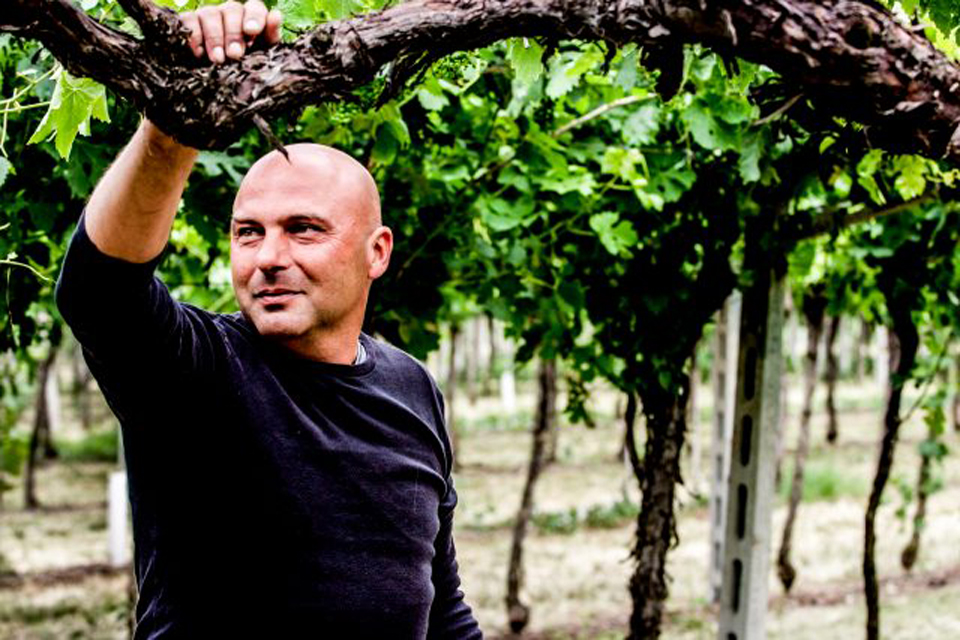 Azienda Agricola Scriani