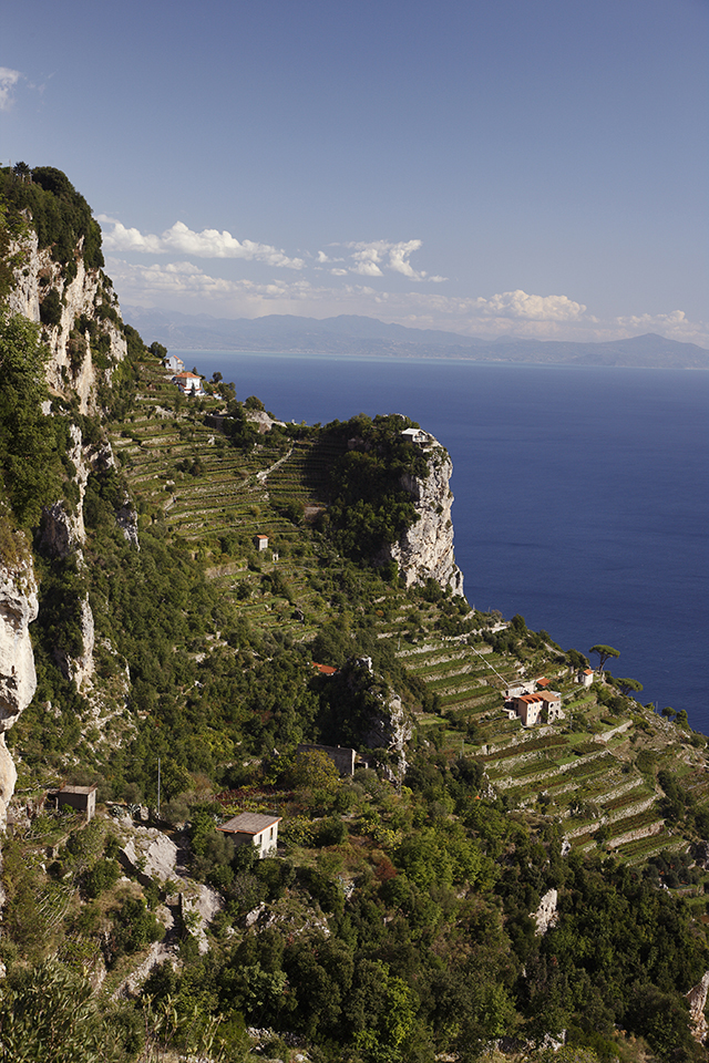 Cantina Marisa Cuomo