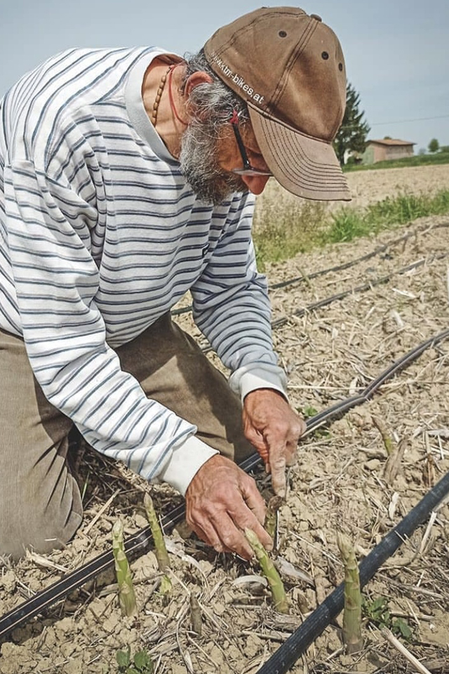 La bottega del contadino