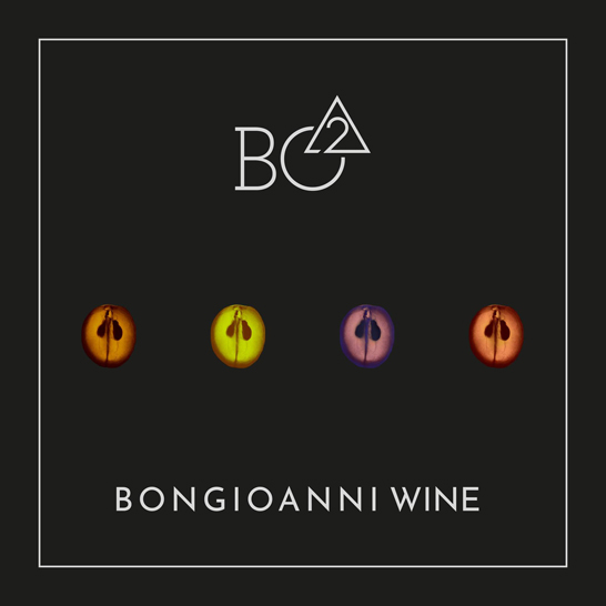 Bongioanni Wine