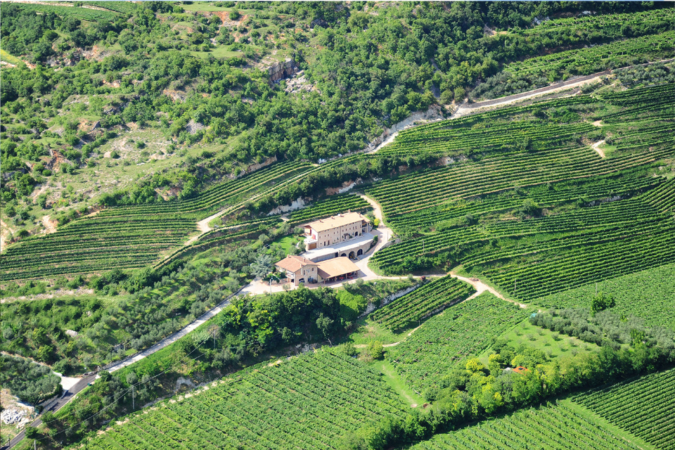 Boscaini Carlo