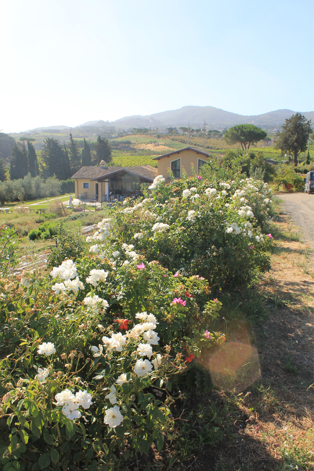 Country house Erba Regina