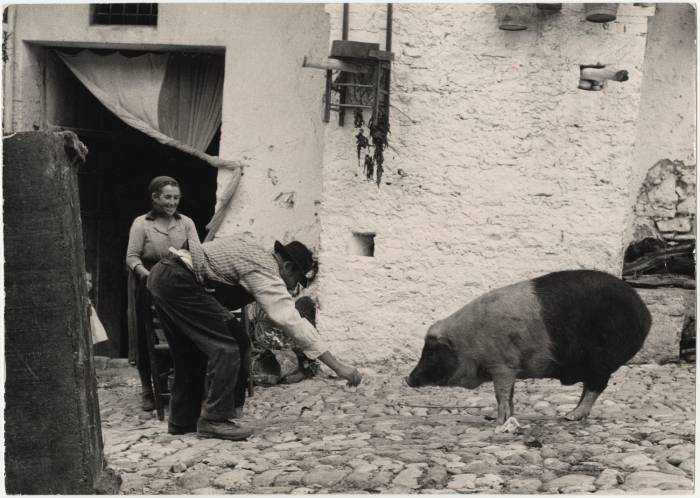 La straordinaria Lucania di Franco Pinna nelle foto del nostro