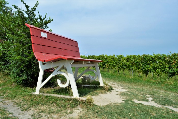 Rosignano Monferrato - foto Comune​
