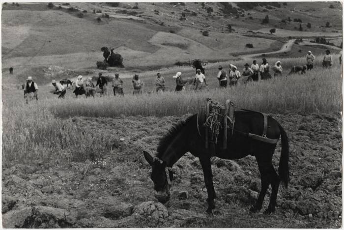 La straordinaria Lucania di Franco Pinna nelle foto del nostro