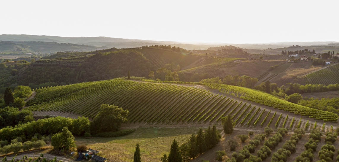 Azienda Agricola Poggiagrilli