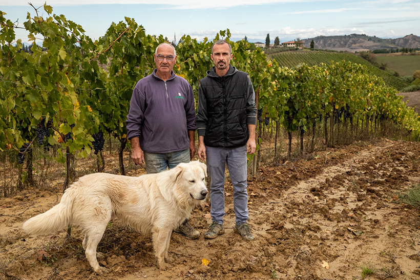 Azienda Agricola Poggiagrilli