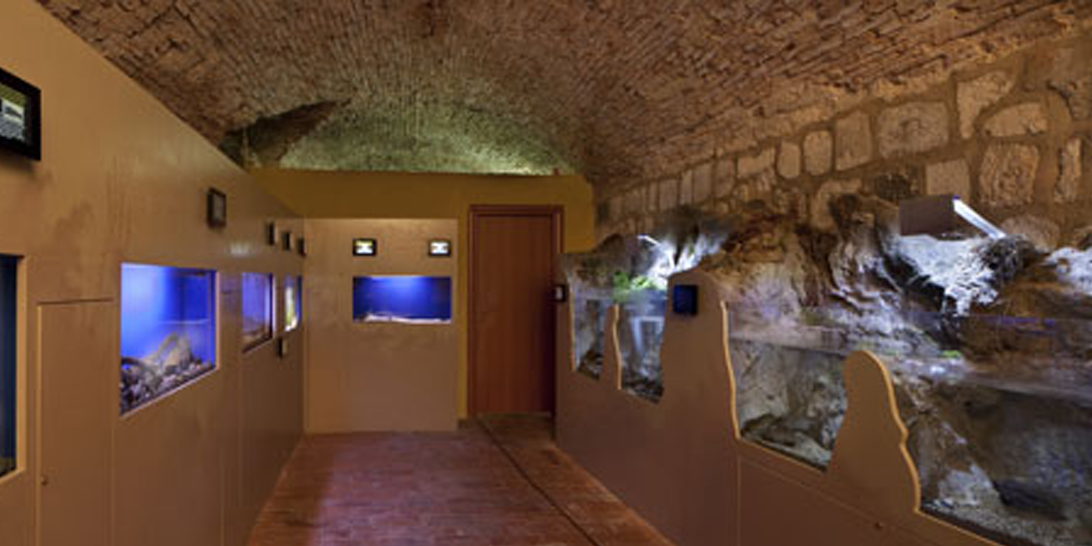 Museo Territoriale del Lago di Bolsena