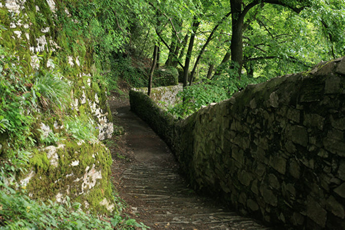 Un sentiero verso Villa Pliniana.
