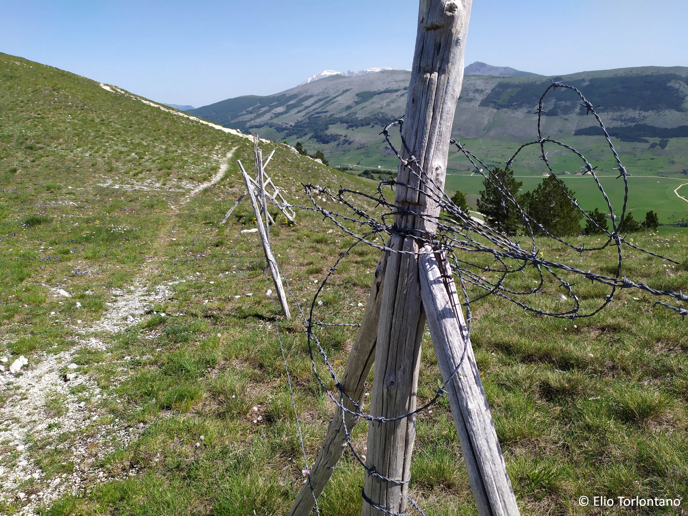 Filo di ferro spinato di una vecchia recinzione sul Monte Calvario di Pescocostanzo, un pericolo e un detrattore ambientale da eliminare.