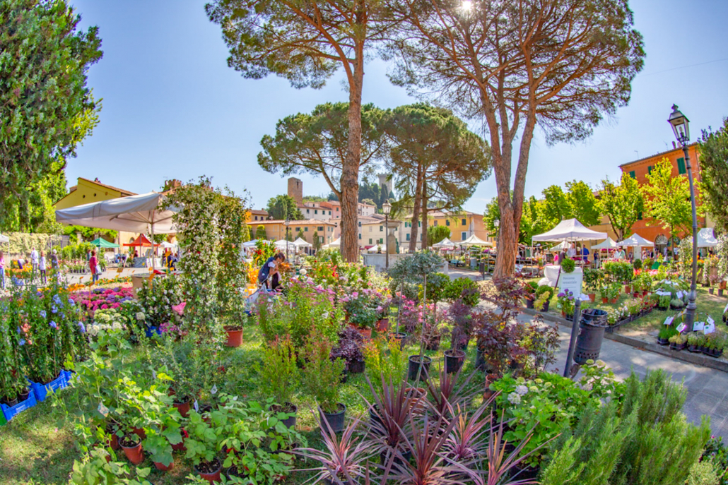 vicopisano castello in fiore