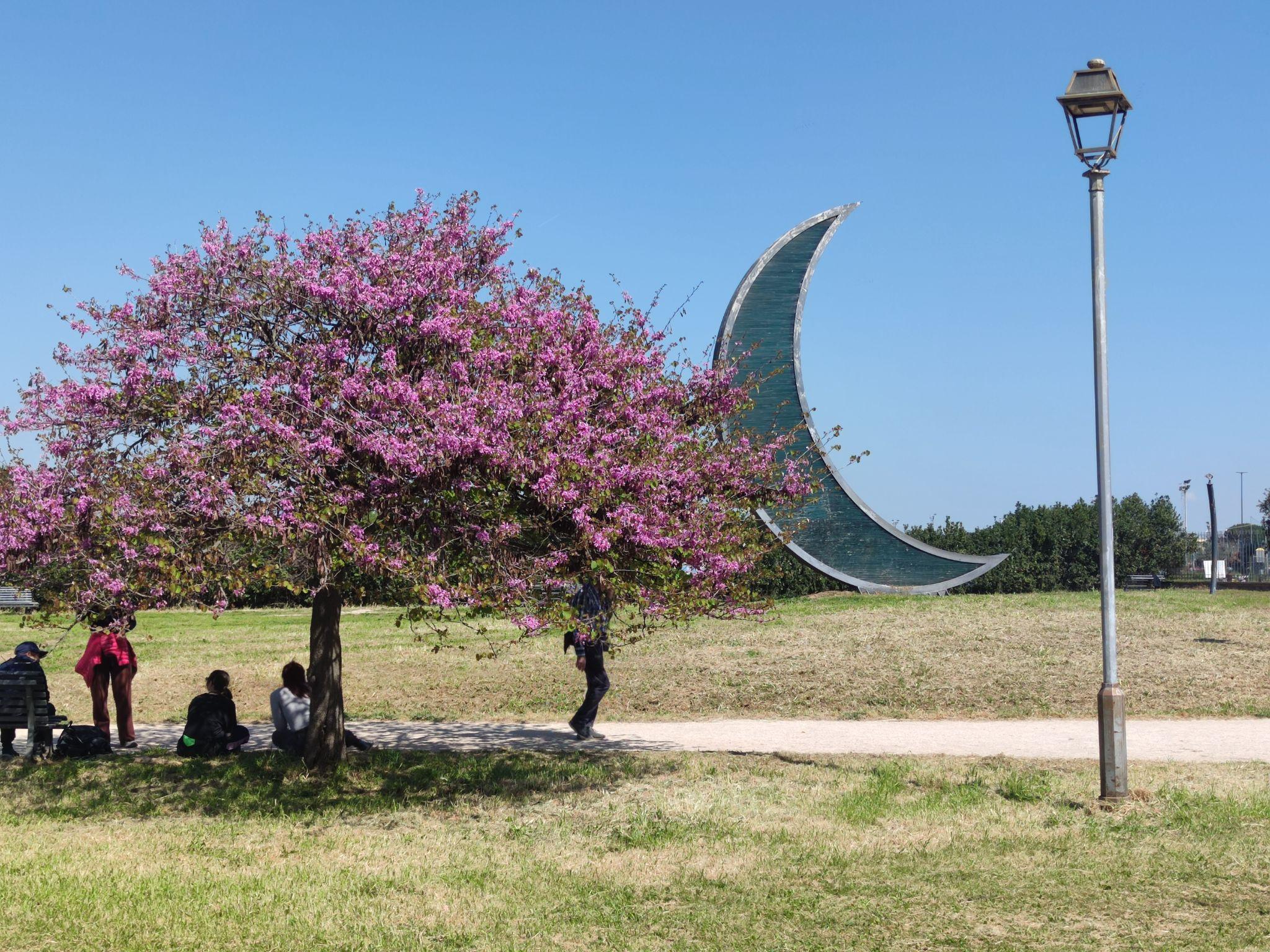 Parco Villa De Santis