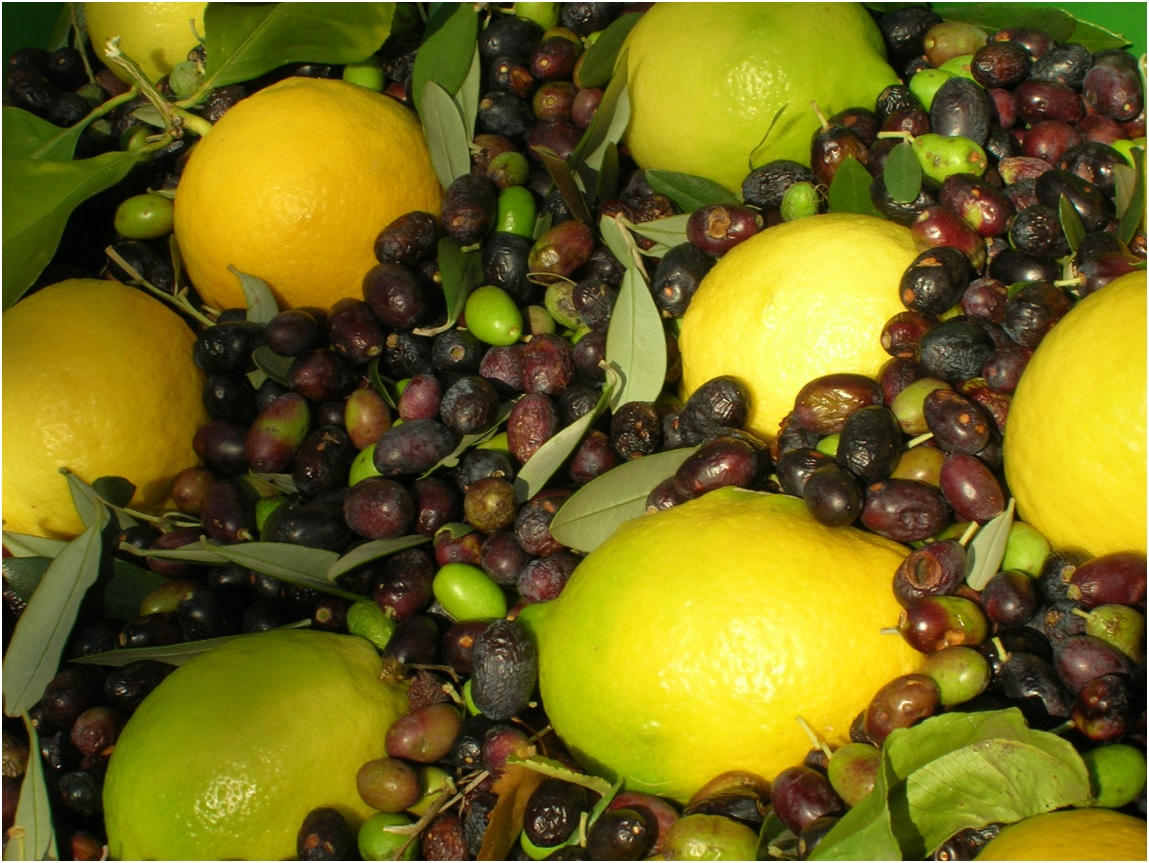 2. Agrumato 6. Olive E Limoni Mescolate.jpg