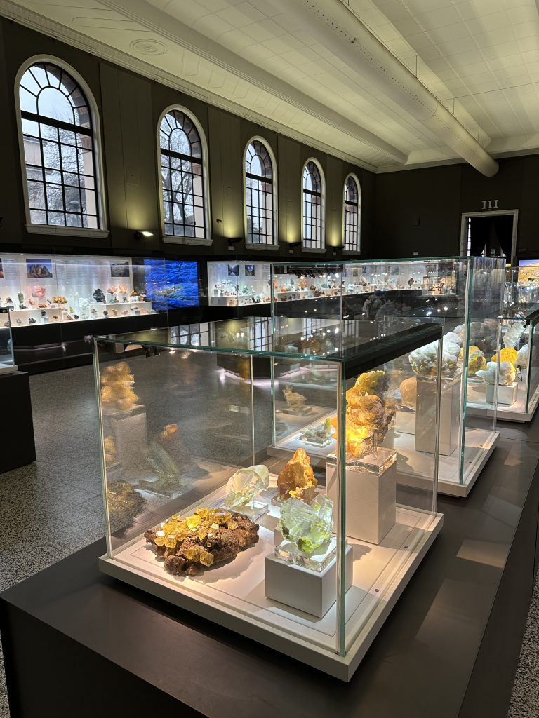 La nuova sala di mineralogia, Museo di Storia Naturale di Milano - foto Stefano Brambilla