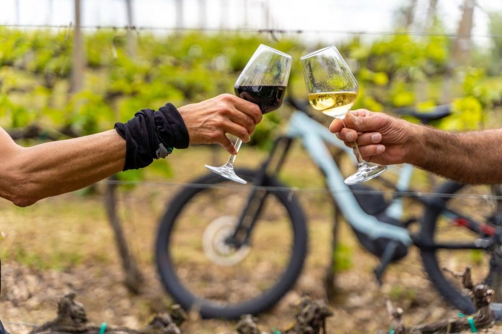 Castrocaro Terme e Terra del Sole - Vini del territorio