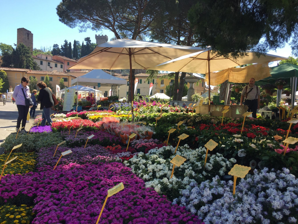 vicopisano castello in fiore