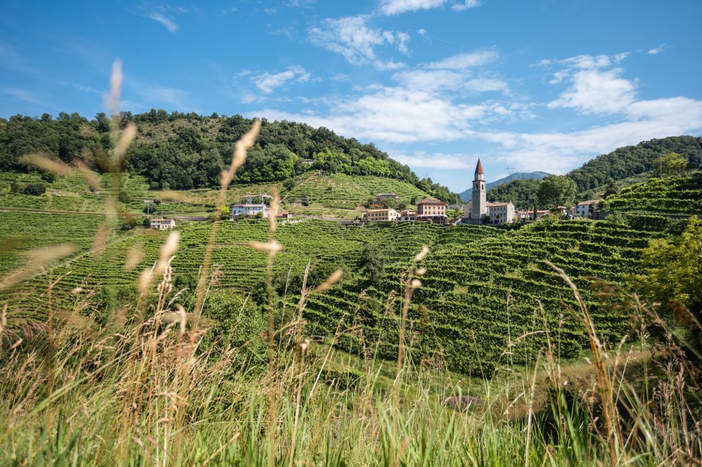 Località Rolle, Cison di Valmarino, Treviso , Italia. Photo ©Silvia Longhi