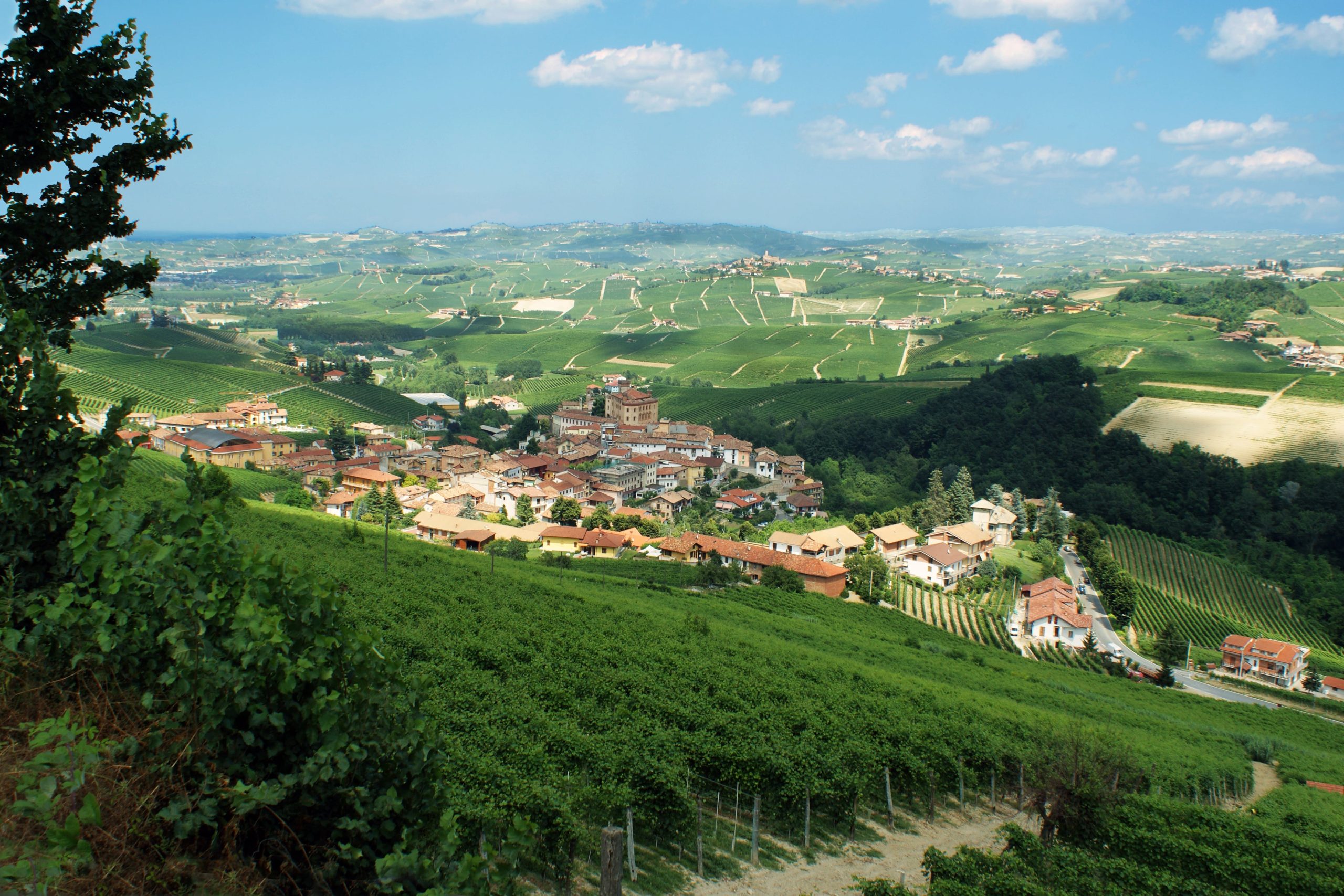 Panorama di Barolo - Foto di Giuseppe Barreri