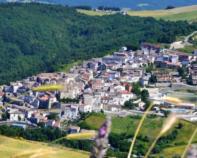 ALBERONA_Veduta panoramica_lib_tonia fiore.jpg