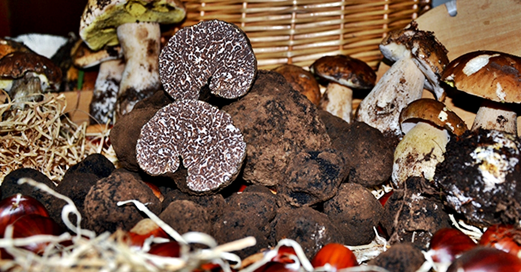 Bagnoli Irpino tartufo nero e funghi