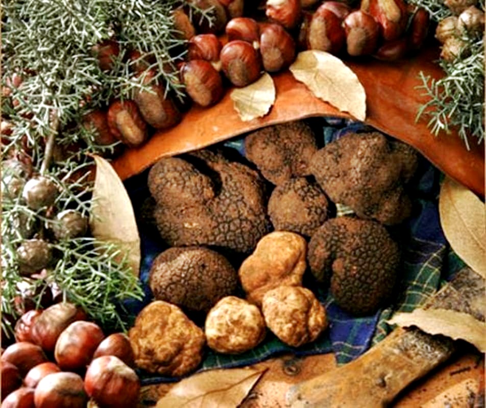 Bagnoli Irpino tartufi neri funghi e castagne