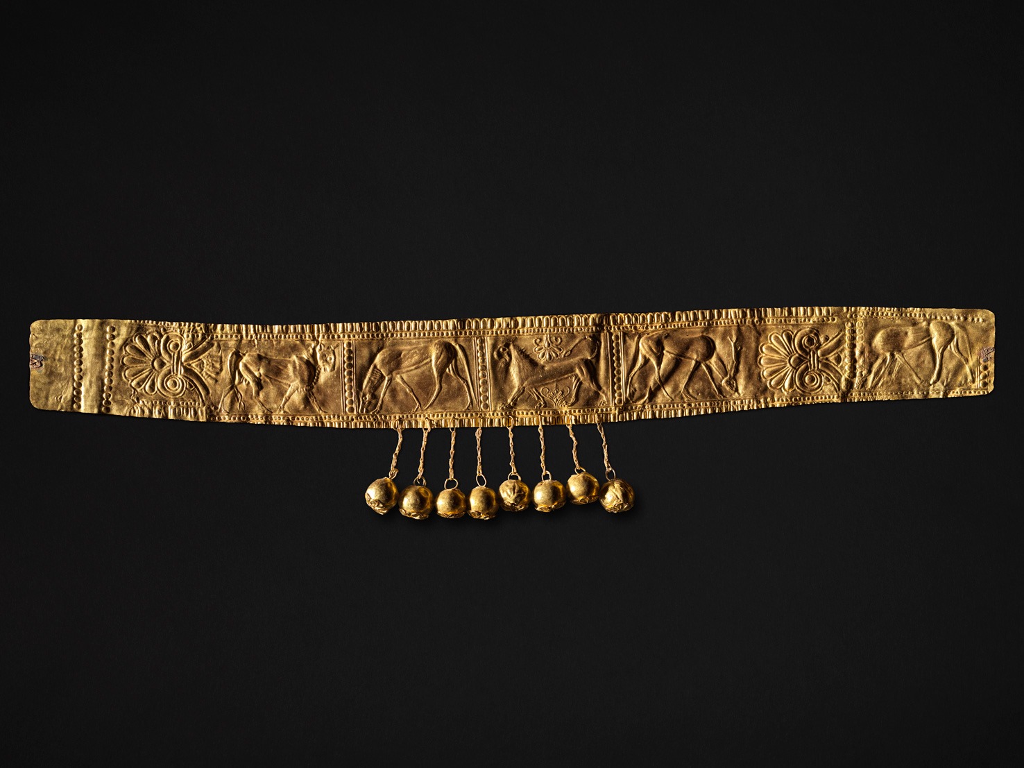 BraidadiVaglio_Tomba102_