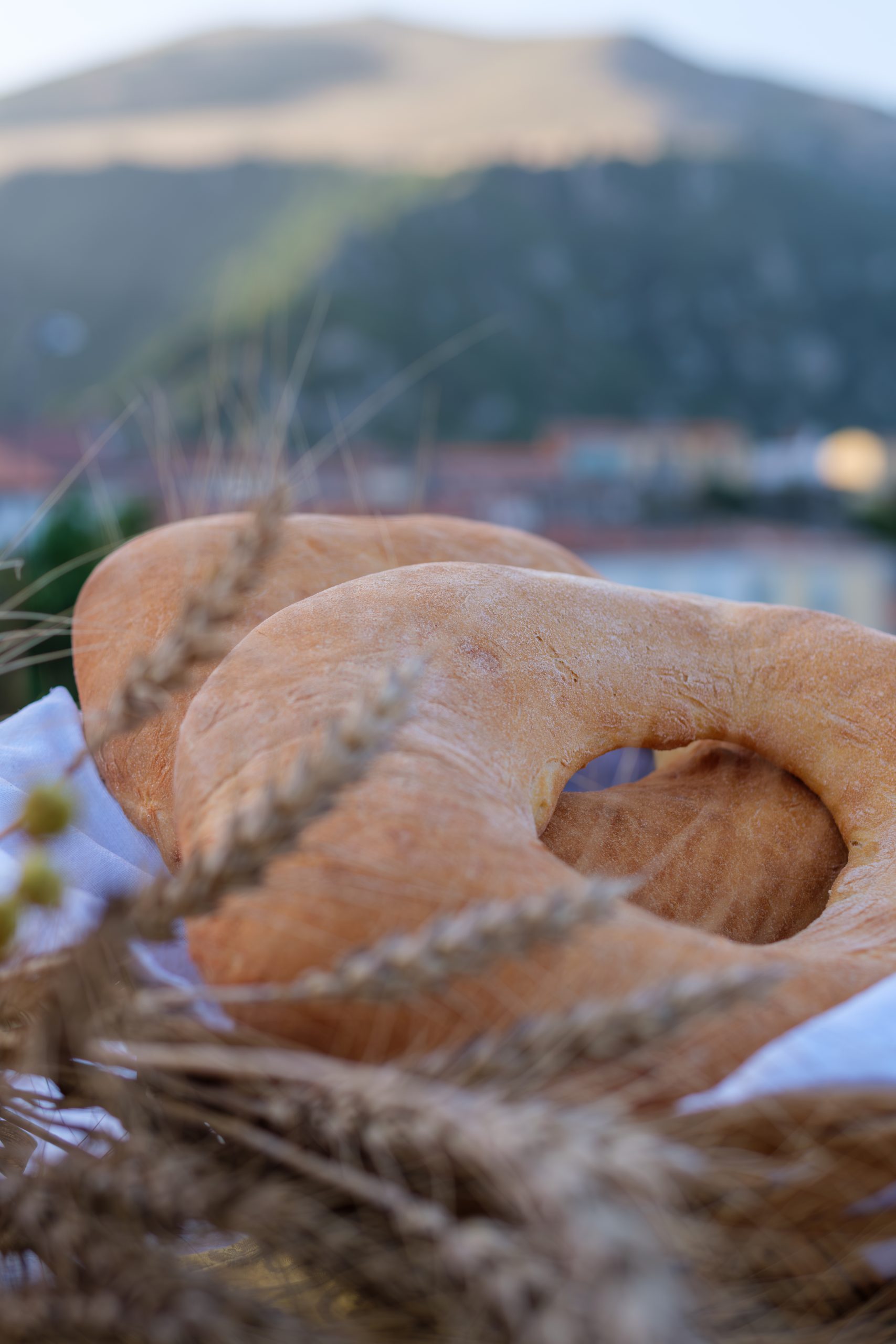 CASTELSARACENO_Tortano_lib_visit-castesaraceno