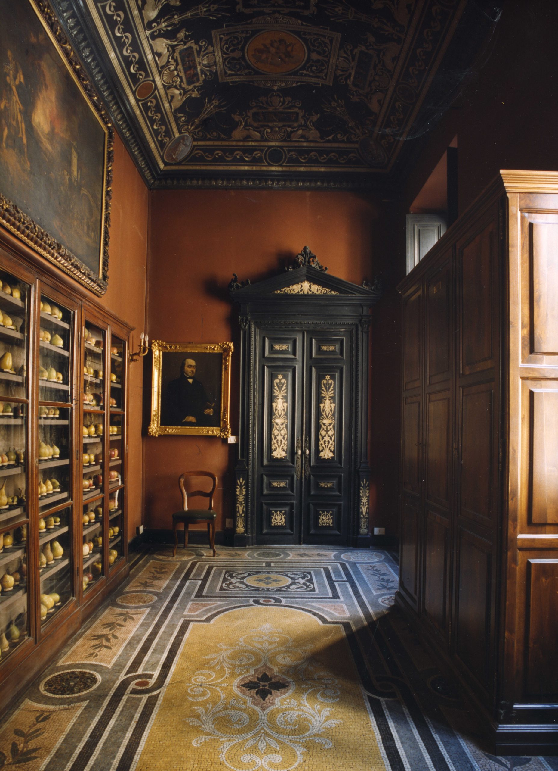 Accademia di Agricoltura di Torino - corridoio pomi