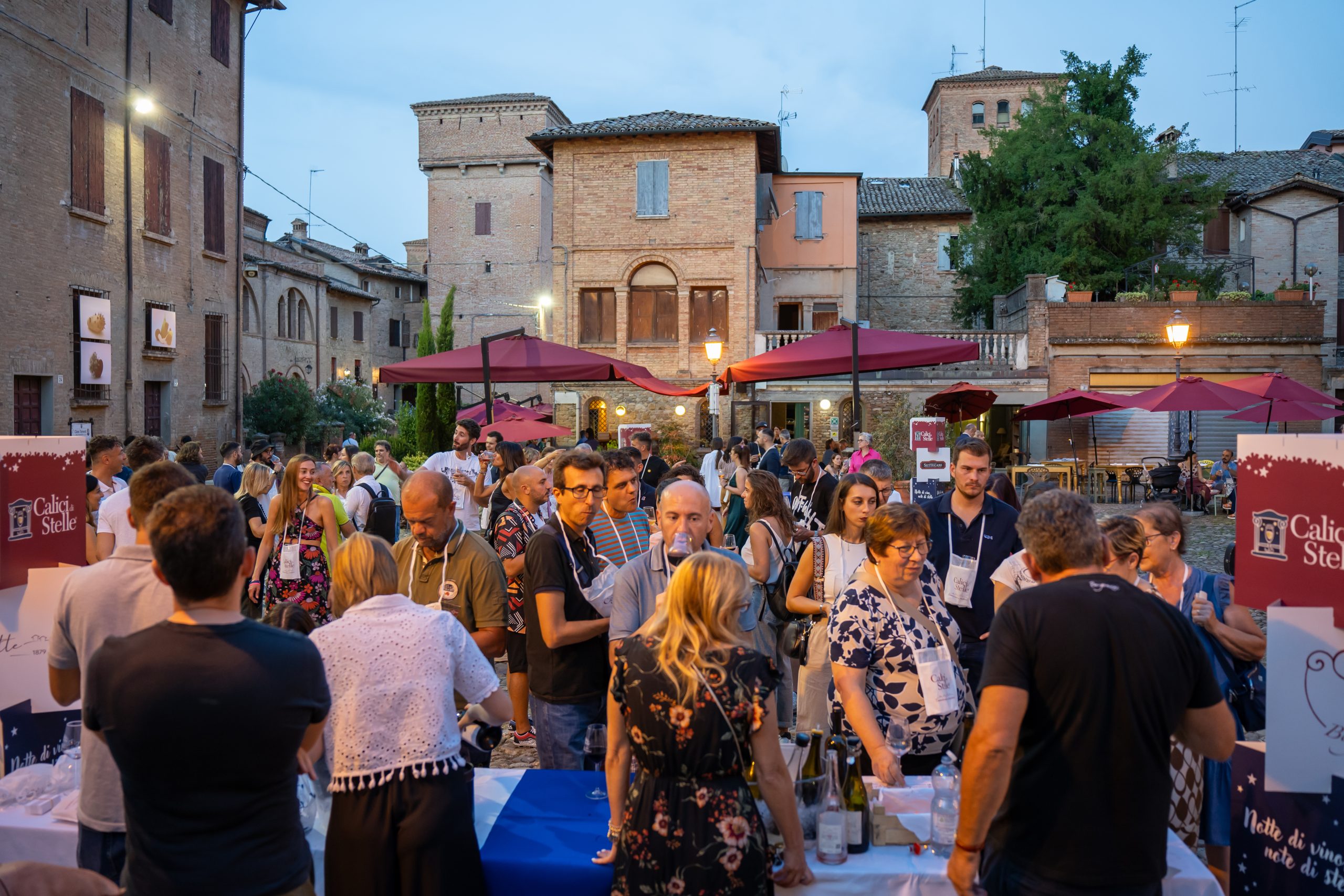 Calici di stelle castelvetro