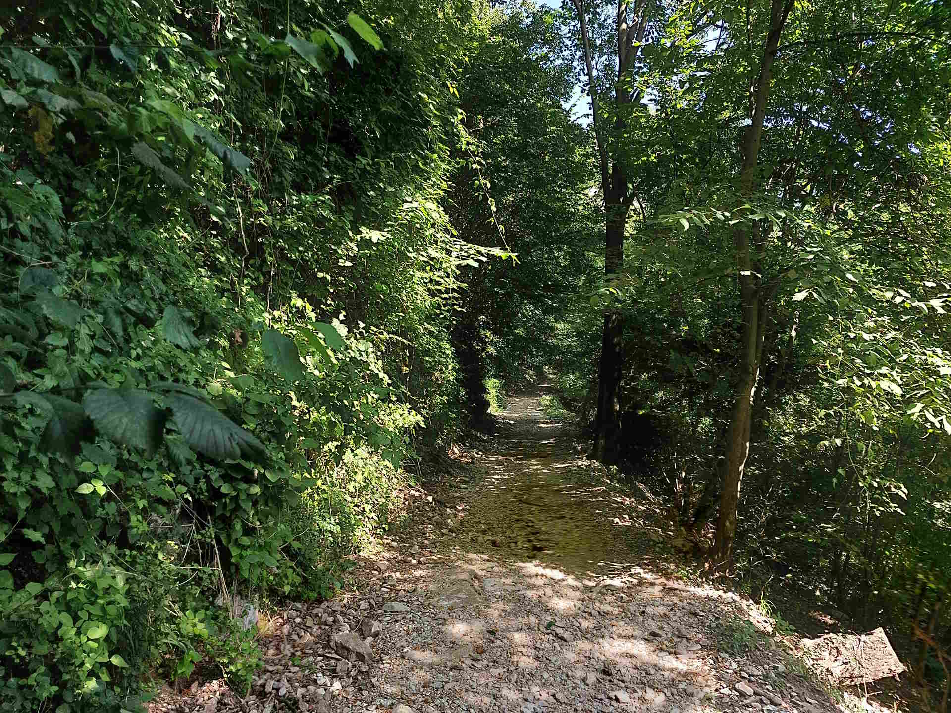 Buco del Piombo