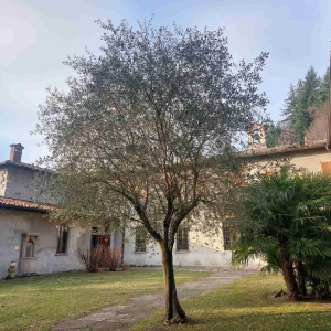 Eremo di San Salvatore