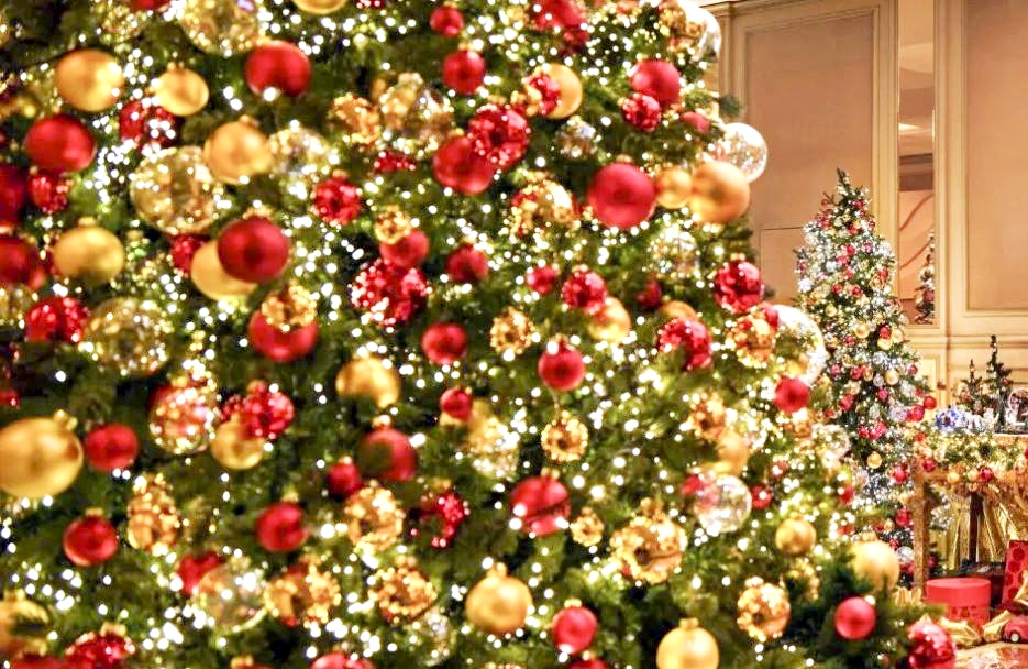 Festa degli Auguri 2025