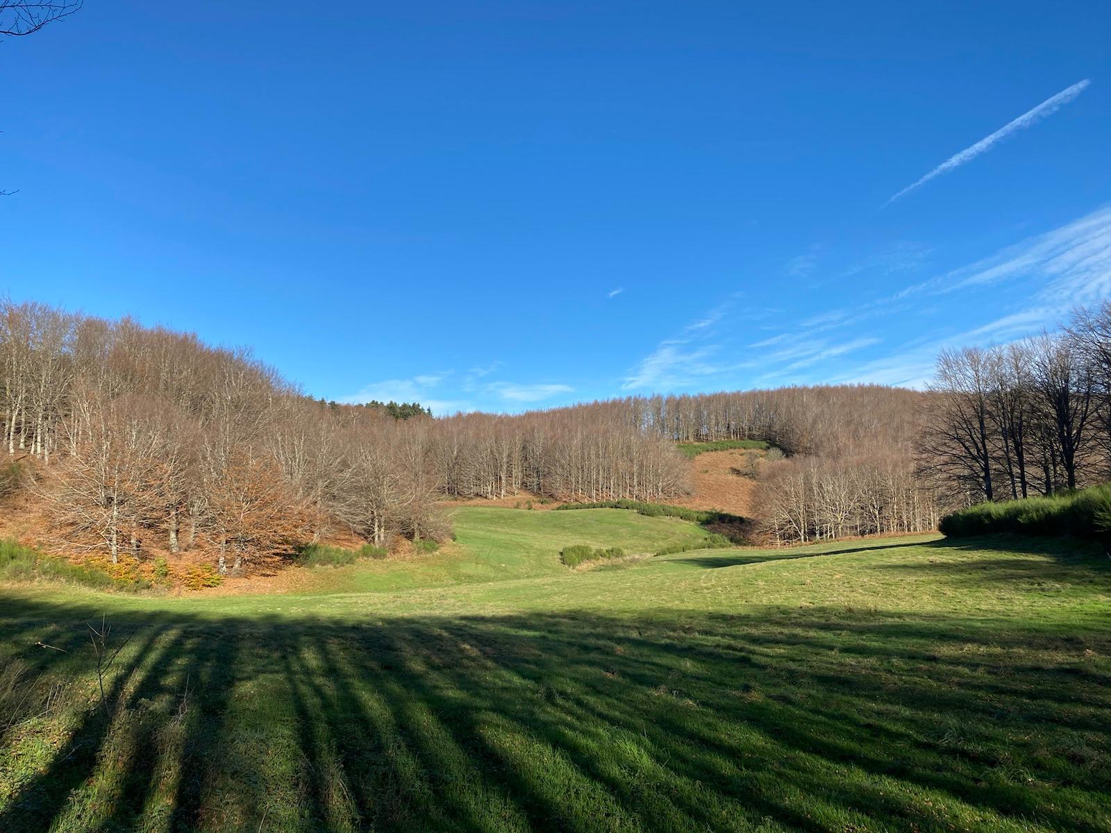 Passeggiata verso il Monte Fumaiolo