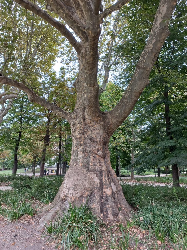 Giardini Reali di Torino, luogo Aperti per Voi TCI