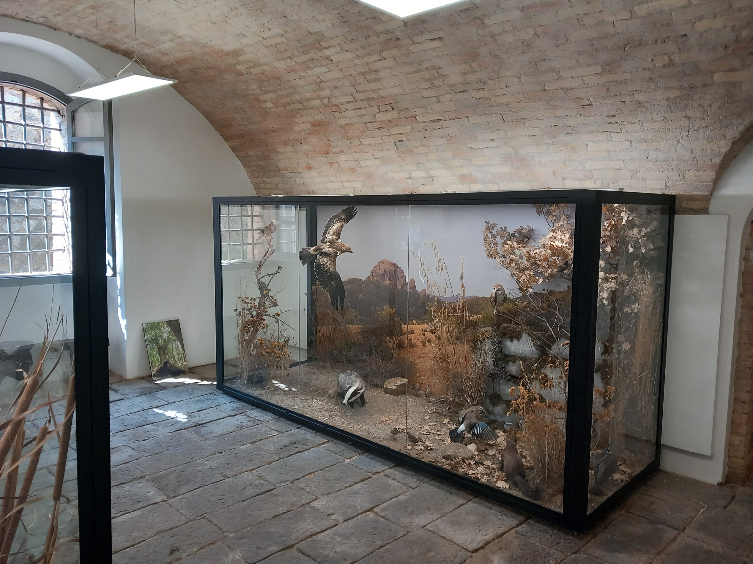 Museo Faunistico DIORAMA