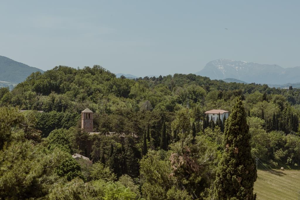 Dintorni di Montalto delle Marche - Foto: Francesca Tilio