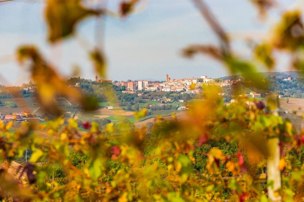 Moncalvo Monferrato Panorama Autunno.jpg