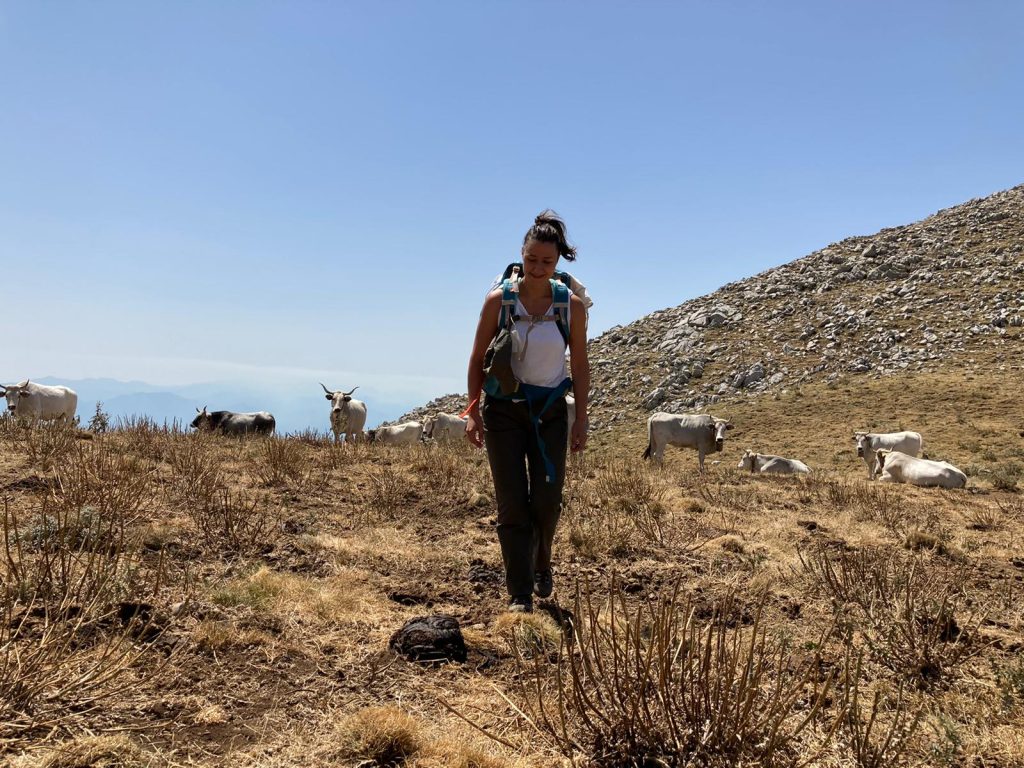 Monte Alpi