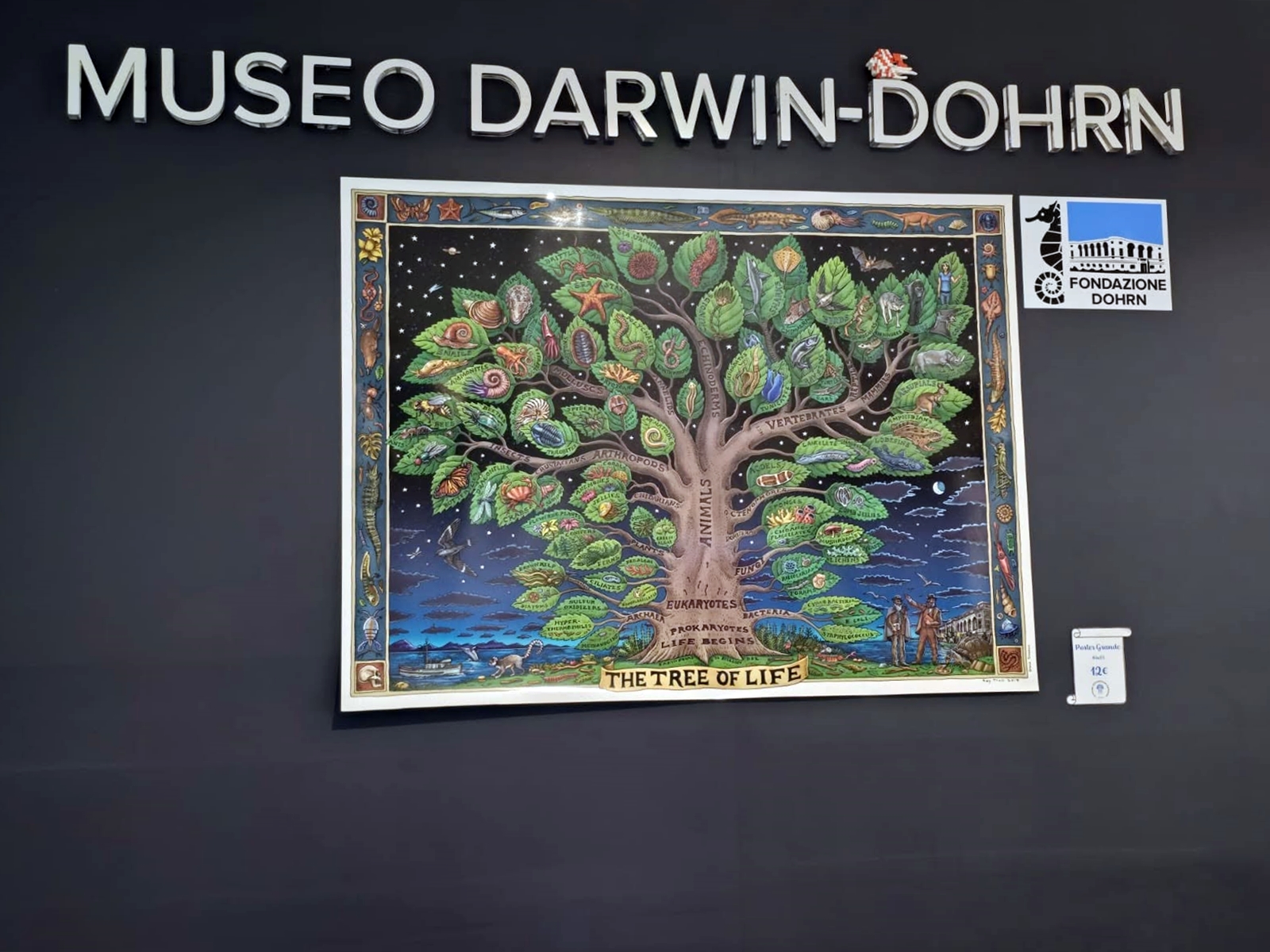 Museo Darwin Dohrn