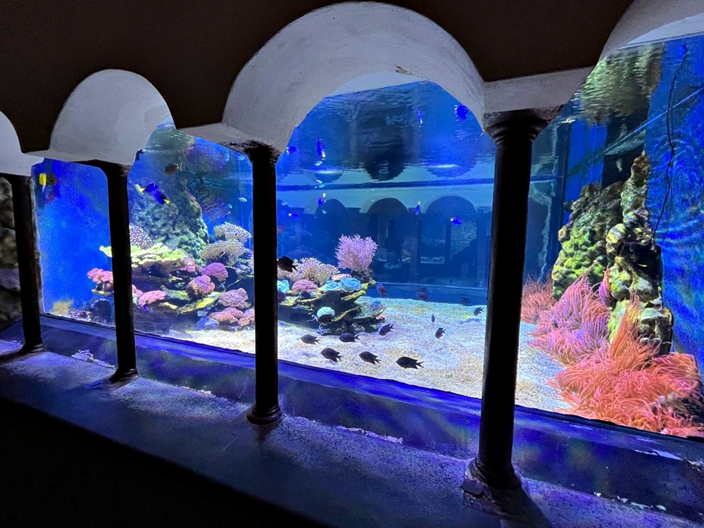 Napoli Aquarium