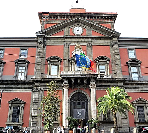 Napoli MANN