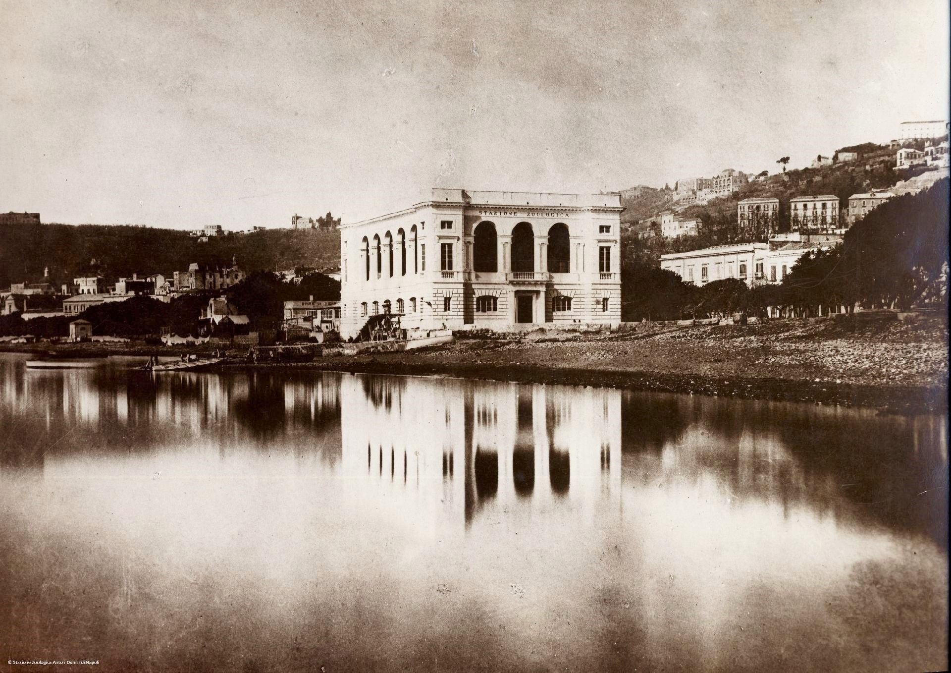 Napoli Stazione Zoologica