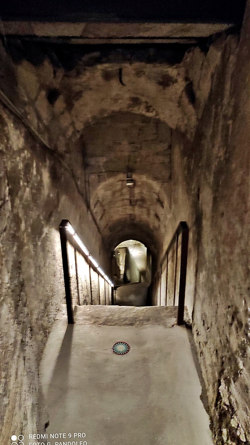 Napoli ipogeo dei Cristallini scala d'accesso