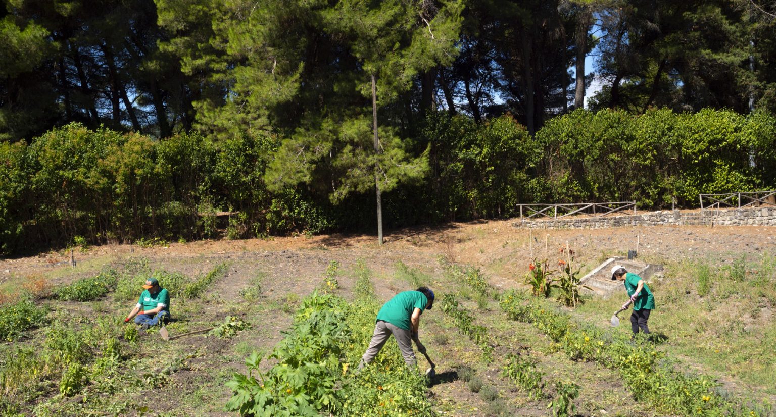 Orsara di Puglia cosa vedere, dove dormire, dove mangiare Touring Club
