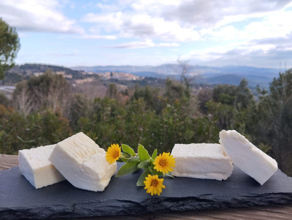 Fattoria Le Ginestre di Liana Filippi