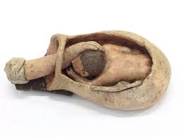 Sistema Museale Universitario